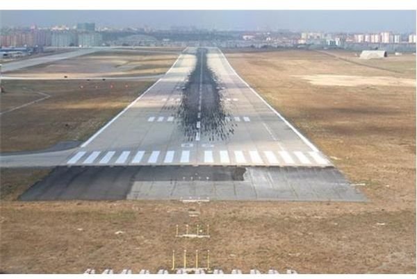 Airplane Runways and Taxiways