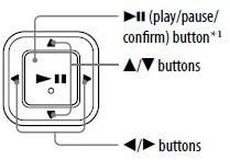 Main Button