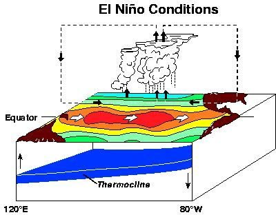 ENSO: El Nino Year