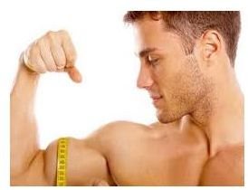 Understanding Biceps Anatomy