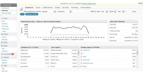 WordPress stats plugin, WPSlimStat