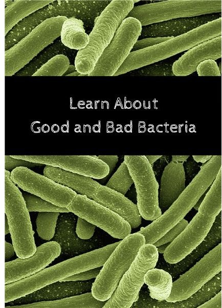 How Can Bacteria Be Good? Learn about Scientific Advances and Biosensors