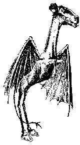 Origins of the New Jersey Devil Legend: Middle School Lesson