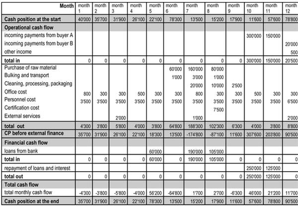 25 Ways to Help You Achieve Cash Flow Management Expertise