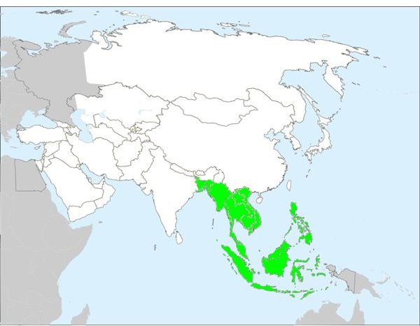 Python Reticulatus Range