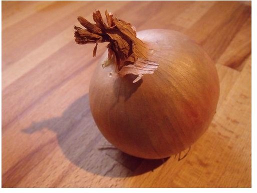 onion