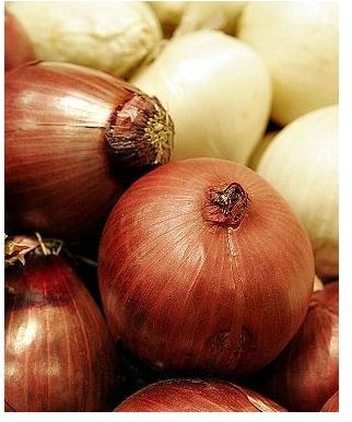 Onion Remedies: Treat Common Problems with Onions