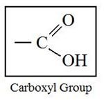 Acid-Base Properties of Organic Compounds