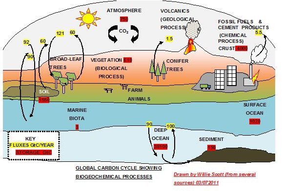 Global Carbon Cycle Diagram Showing Storage and Flux