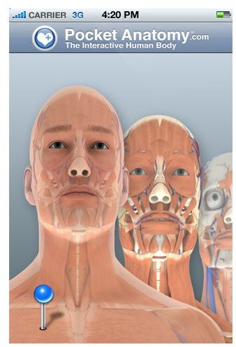 Best Human Anatomy iPhone App Options