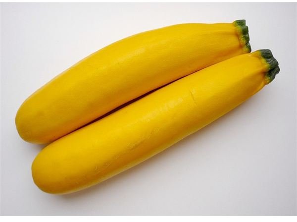 A Tutorial on How to Freeze Summer Squash