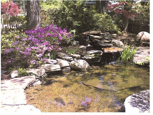 DIY Healing Garden Refuge for Relaxation and Renewal in Your Own Backyard