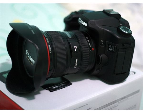 Canon 400D or Canon 40D? A Digital SLR Camera Comparison - Should You Upgrade Your DSLR?