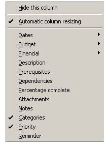 Task fields options