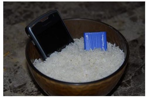 BlackBerry in Rice