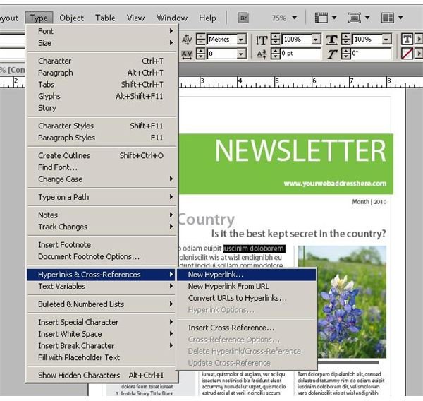 export publisher to indesign