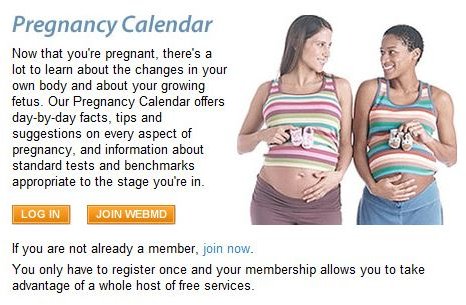 Free Printable Pregnancy Calendar Follow Your Pregnancy