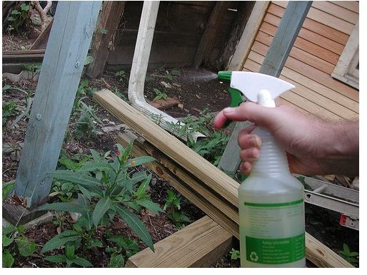 Reusing Spray Containers: Creative Tips For Green Consumers