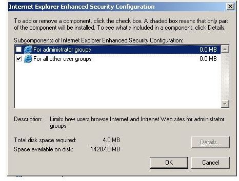 Figure 2: Internet Explorer Enhanced Security