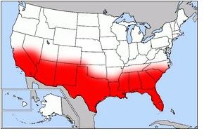 wikimedia commons, sunbelt states, from the University of Texas