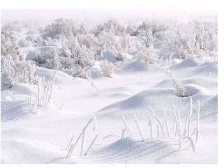 collection-winter-backgrounds-snowyhills