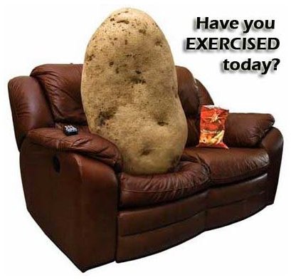 couch-potato copy