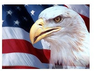 patriotic-backgrounds-eagle-flag