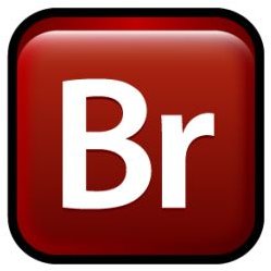 Adobe Bridge Tutorial: Important Adobe Bridge Keyboard Shortcuts