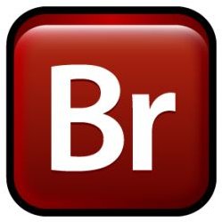 adobe bridge keywords