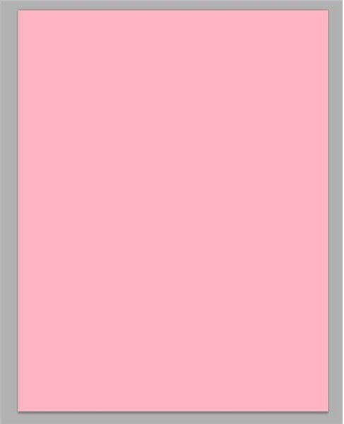 pink canvas