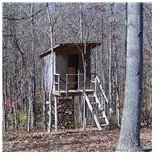 Covered Bridge