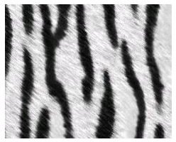zebra-print-fur