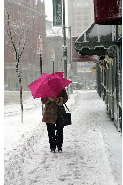386px-FEMA - 30487 - Woman with an umbrella in a Portland snow storm