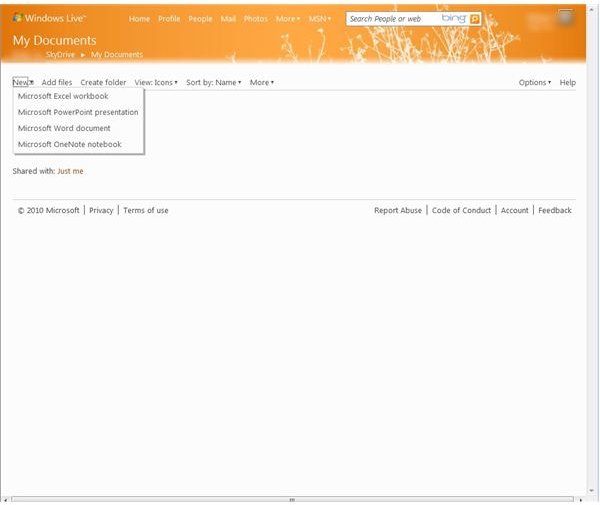 Office Web Apps 2010 Online Versions of Word, Excel, PowerPoint, and OneNote