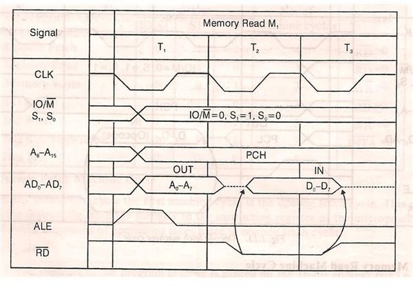 Memory read cycle