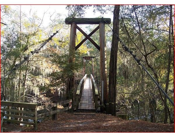 O'Leno State Park and Geocaching: A Unique Geological Experience