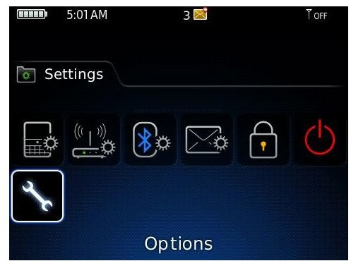 Options in Blackberry Setup settings