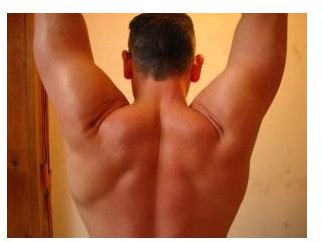 Ways to Test Muscular Endurance: 2 Easy Methods You Can Use at Home