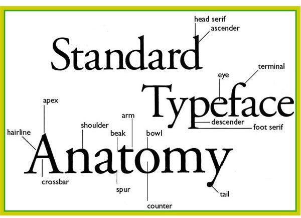 Anatomy Of Typography Basic Elements Of Typography Bright Hub