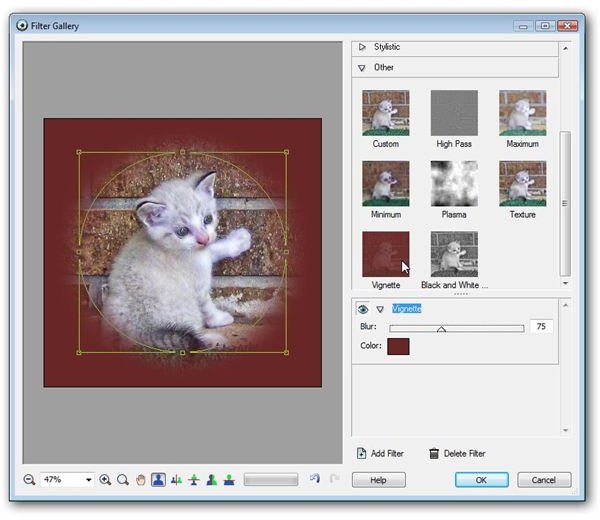 Select Vignette in the Filter Gallery