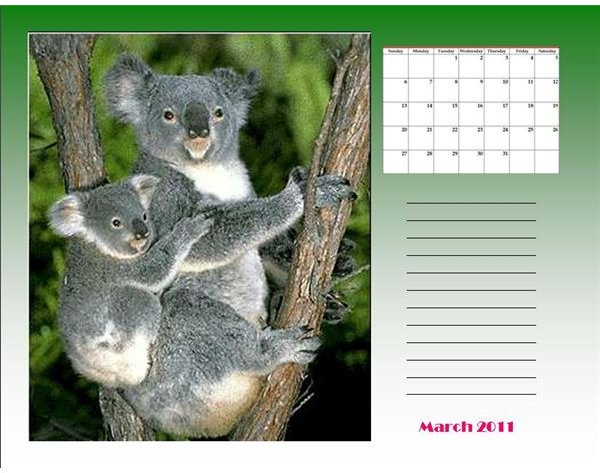 Free Postcard Calendar Templates: Download Samples or Create Your Own
