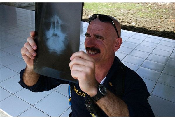 Cmdr. Kurt Hummeldorf, an oral maxillofacial surgeon assigned to the Military Sealift Command (MSC) hospital ship USNS Mercy (T-AH 19), looks at x-rays of an Indonesian patient an the University Hospi