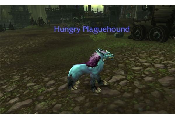 Hungry Plagehound