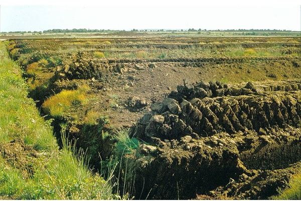 800px-Saterland mechanical peat digging 1982