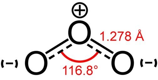 Eliminating Mold Spores in Food Processing Plants: Ozone is Very Effective