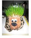 90px-Chia pet