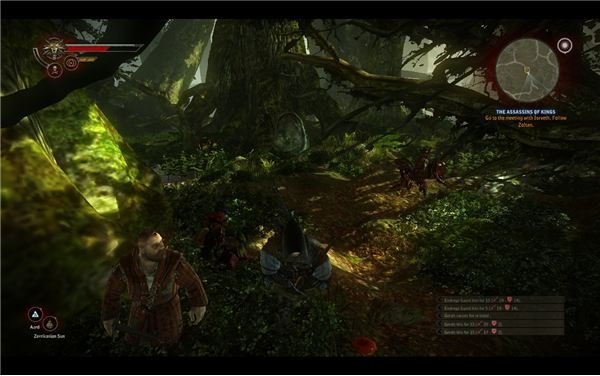 Witcher 2 Walkthrough - The Endrega Contract