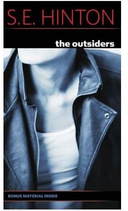 Themes in "The Outsiders" for Students in Middle School English Class