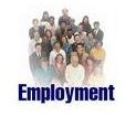Employment Background Check - What is Checked in a Background Check