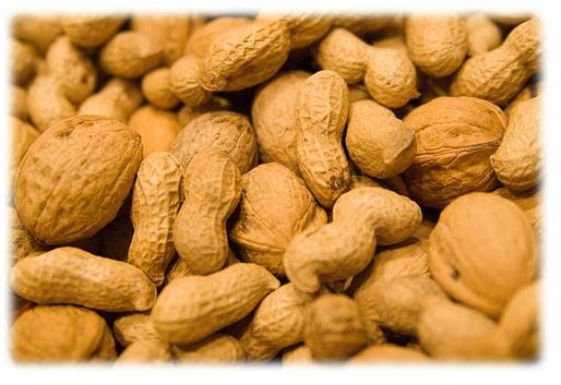 nuts